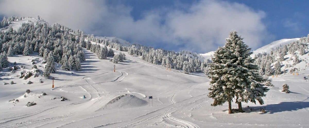 Forest Cosy House - Lagkadia Amazing View 외부 사진